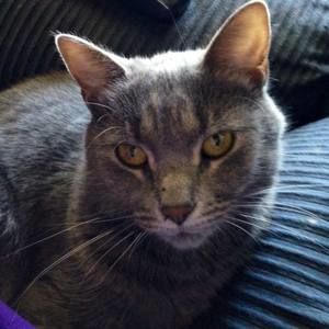 Meet your Posher, Glenn stuart-kelly